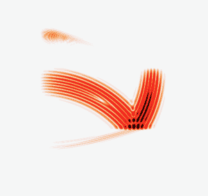 ACO